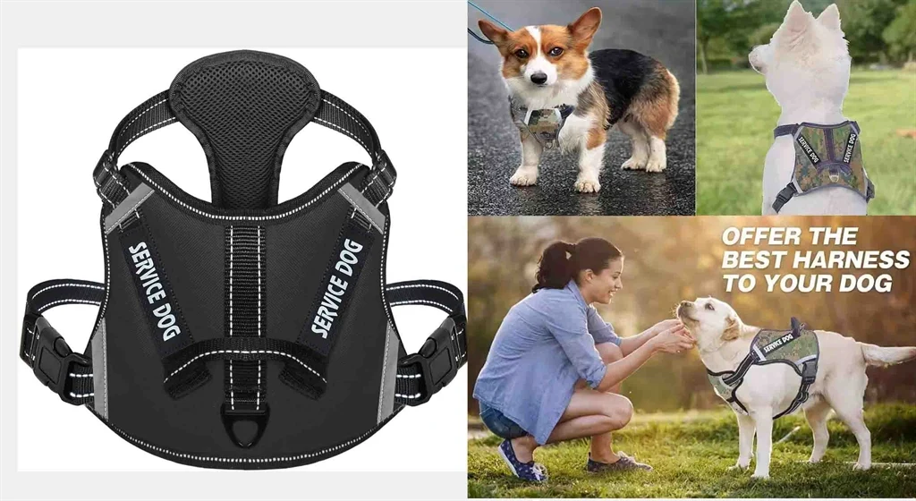 PECHERA PARA PERRO X8 X LARGE